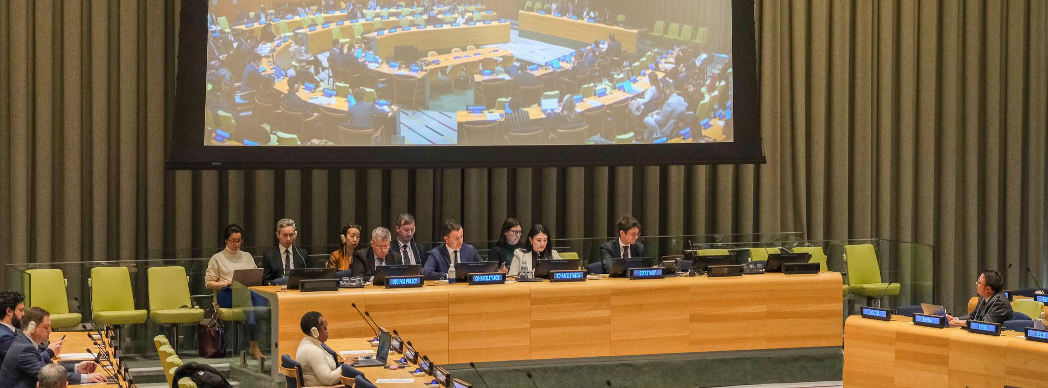 AI Panel and Dialogue Intergovernmental process co-facilitated by Costa Rica and Spain