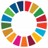 SDG Wheel