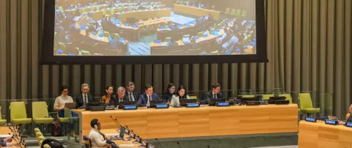 AI Panel and Dialogue Intergovernmental process co-facilitated by Costa Rica and Spain