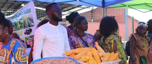 African Development Bank approves $79 million loan to boost Angola’s youth employment in agriculture and transportation