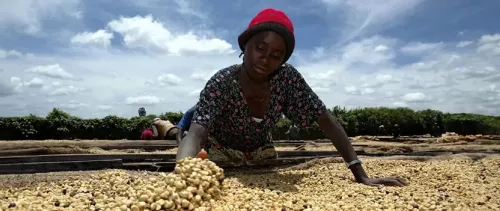 How digital payments can change the lives of women in Ethiopia’s coffee industry