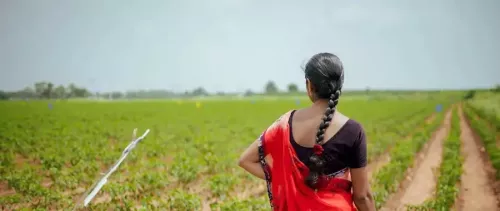 How to make digital transformation of agriculture work. Lessons from Telangana