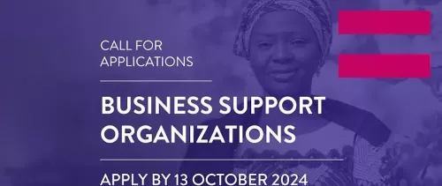 Call for applications from Business Support Organizations (BSOs) - Women Exporters in the Digital Economy (WEIDE) Fund