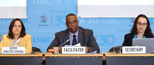 WTO members discuss work programme on e-commerce post MC13 with a focus on development