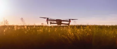 Can the digital revolution transform agriculture?