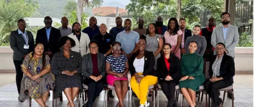 Commonwealth fellows develop roadmap to combat cybercrime in Caribbean