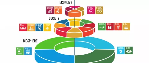 Why ICTs are critical for sustainable development