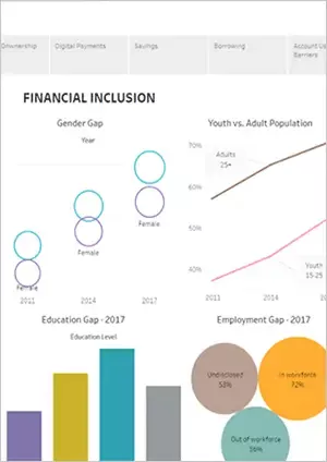 Findex Dashboards