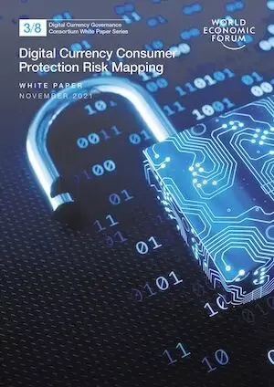 Digital Currency Consumer Protection Risk Mapping