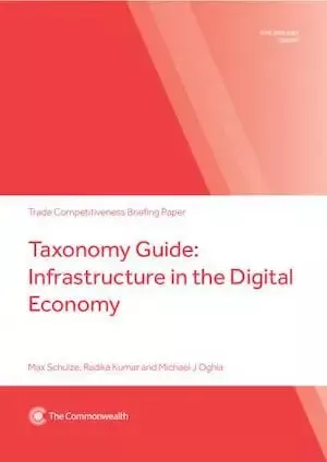 Taxonomy Guide: Infrastructure in the Digital Economy