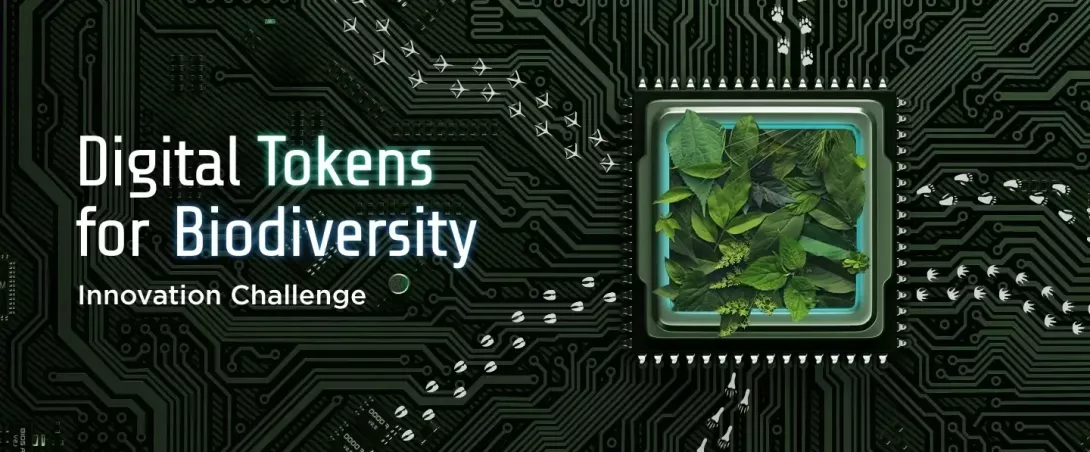 IDB Lab’s Call for the Use of Digital Tokens in Biodiversity and Climate Action