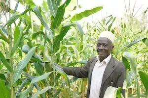 UNCDF Partners with a Digital Platform to Link Farmers to Financial and Agricultural Products and Services in Tanzania