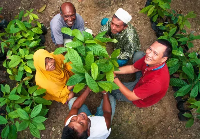 Scaling Responsible Digital Payments in the Indonesian Cocoa Sector