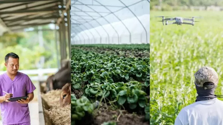 Data-Driven Digital Agriculture