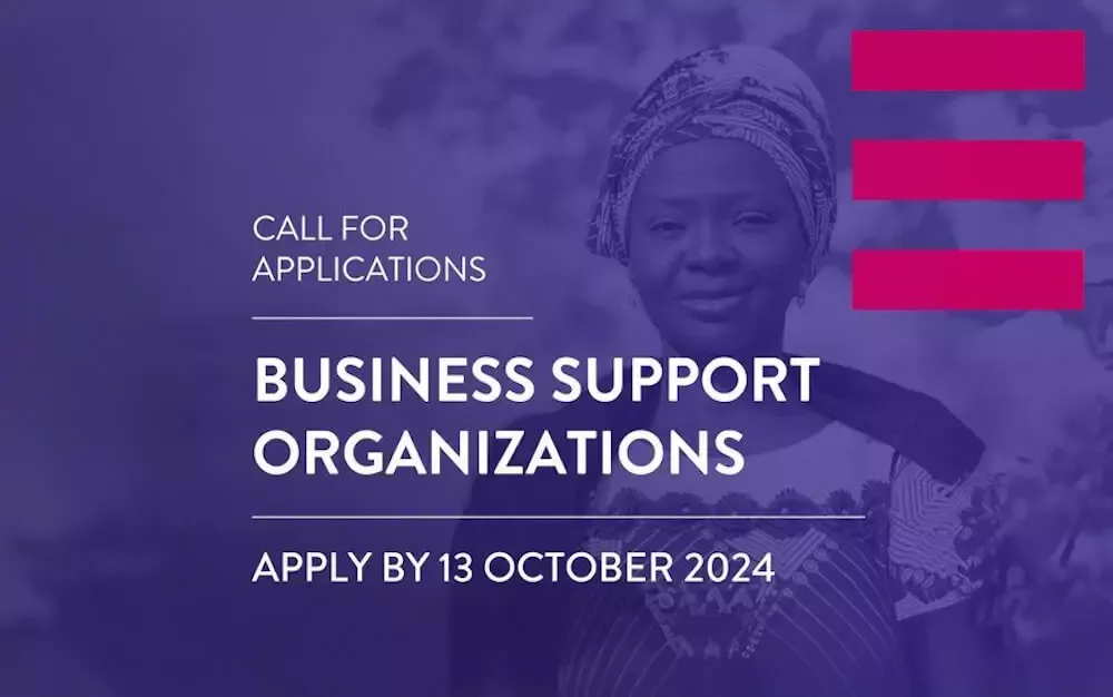 Call for applications from Business Support Organizations (BSOs) - Women Exporters in the Digital Economy (WEIDE) Fund