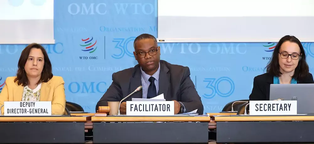 WTO members discuss work programme on e-commerce post MC13 with a focus on development